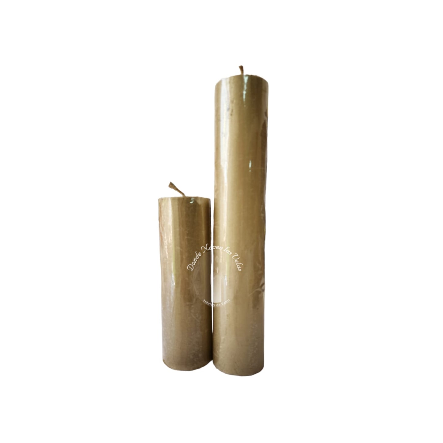 Pack Cirio Dorado 24 y 15 cm alto x 4.8º