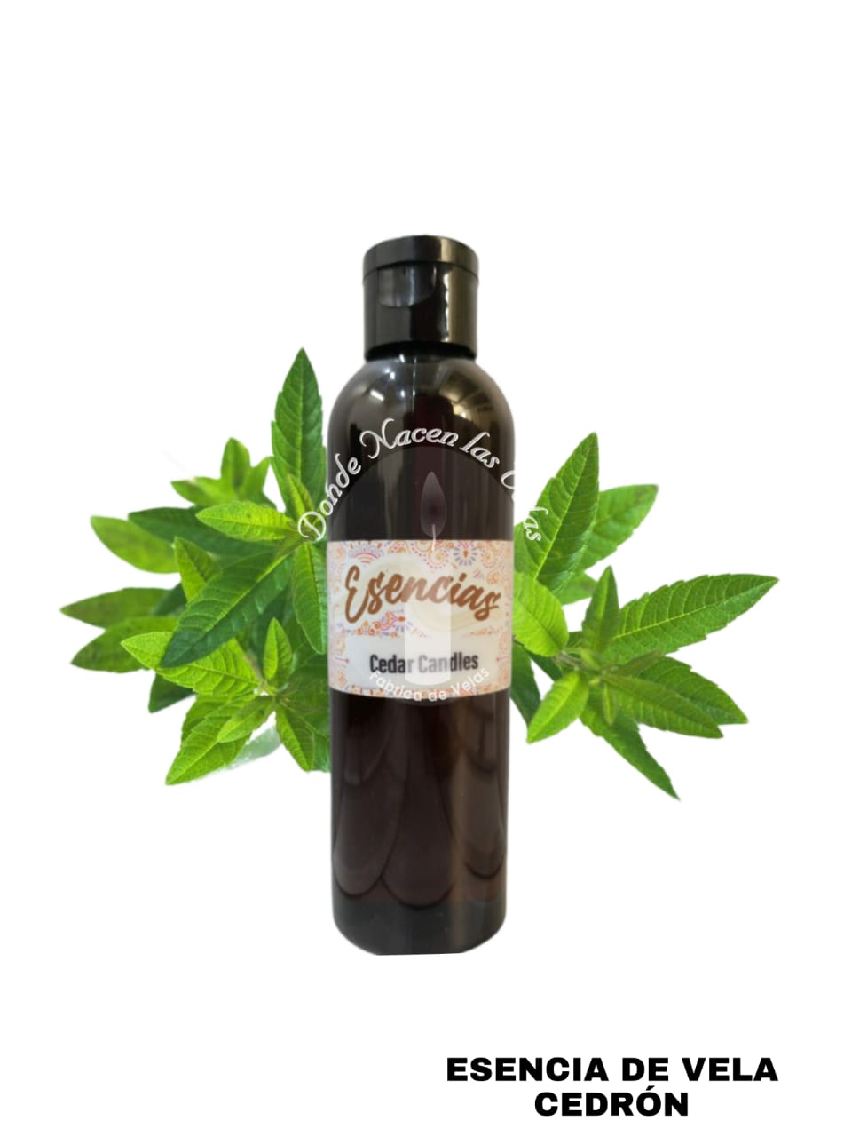 Esencia Cedron Vela de Parafina. 95 ml