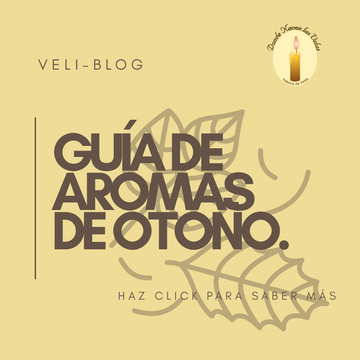 Guía de aromas: qué fragancias usar en otoño y por qué.