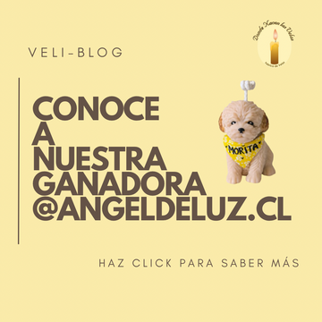 RESULTADO SORTEO VELI-BLOG