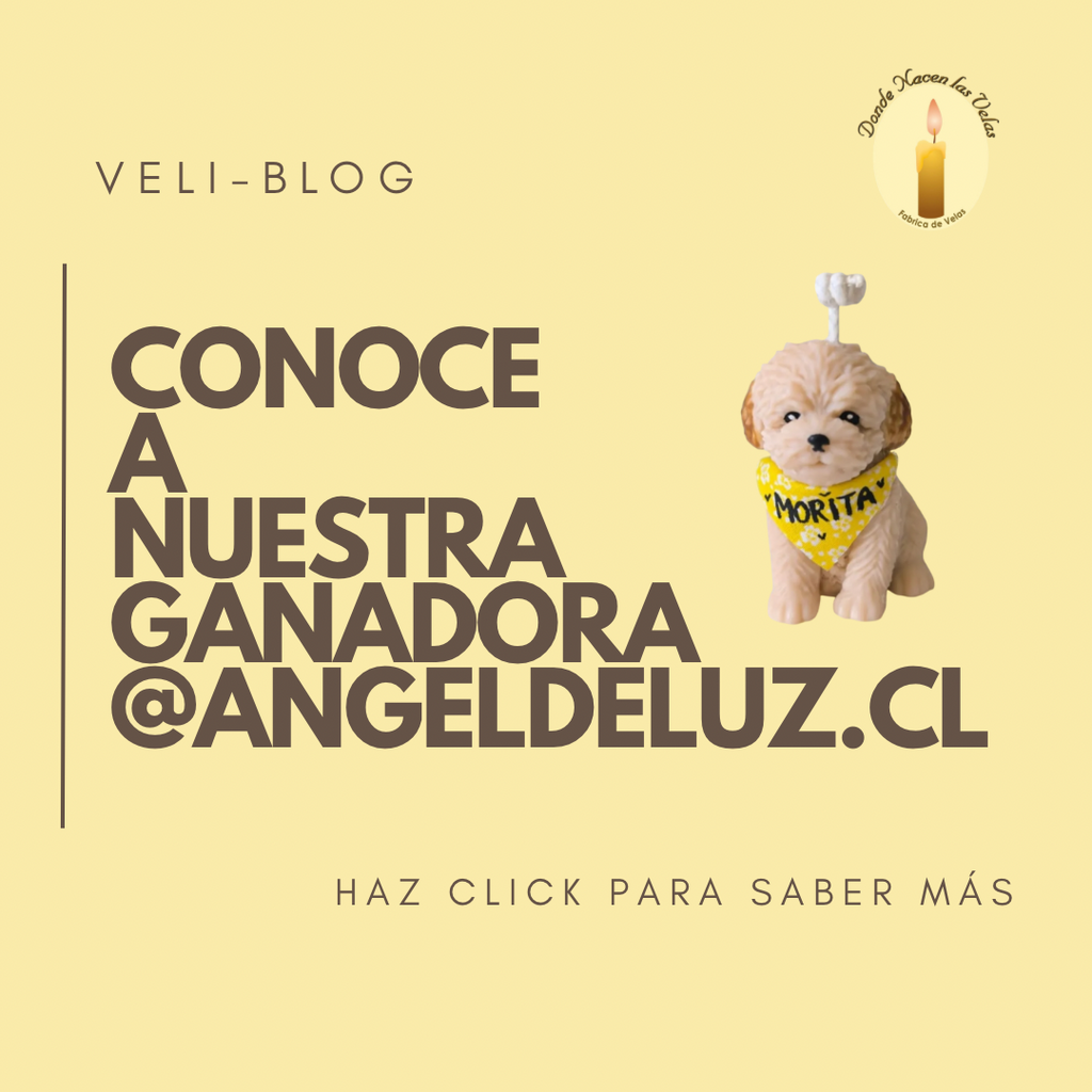 RESULTADO SORTEO VELI-BLOG