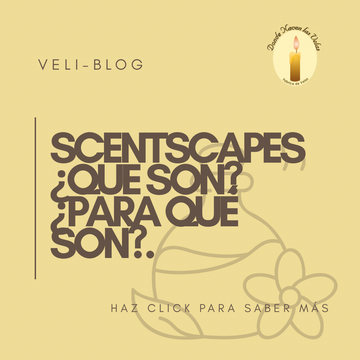 La era de los Scentscapes: cómo las personas están diseñando ambientes completos con aroma