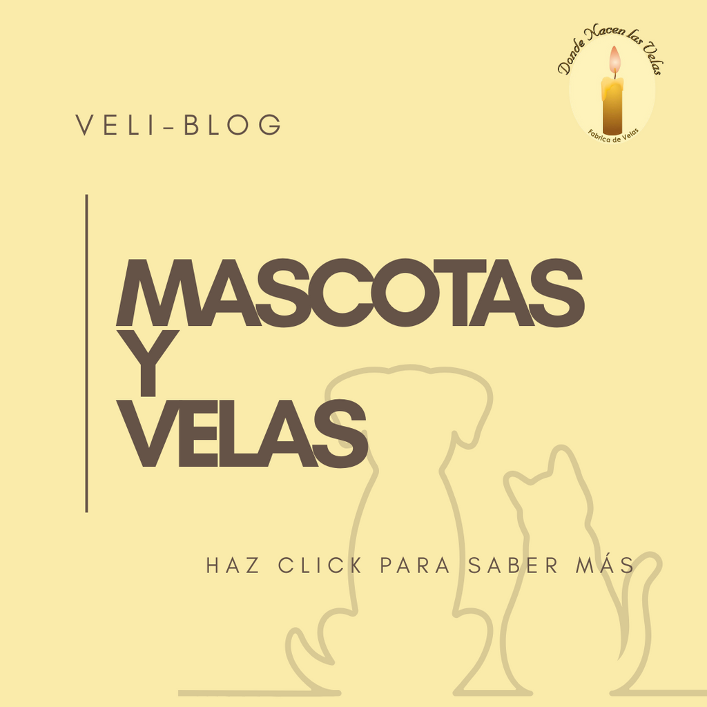 MASCOTAS Y VELAS: ¡SABÍAS QUE NO TODAS LAS VELAS SON PETFRIENDLY?
