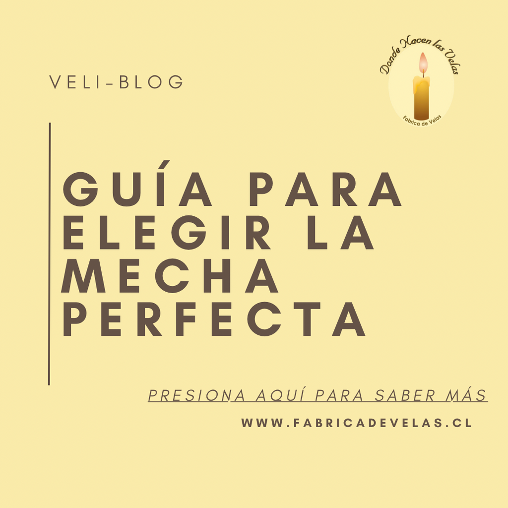 ¿COMO ELEGIR LA MECHA PERFECTA?