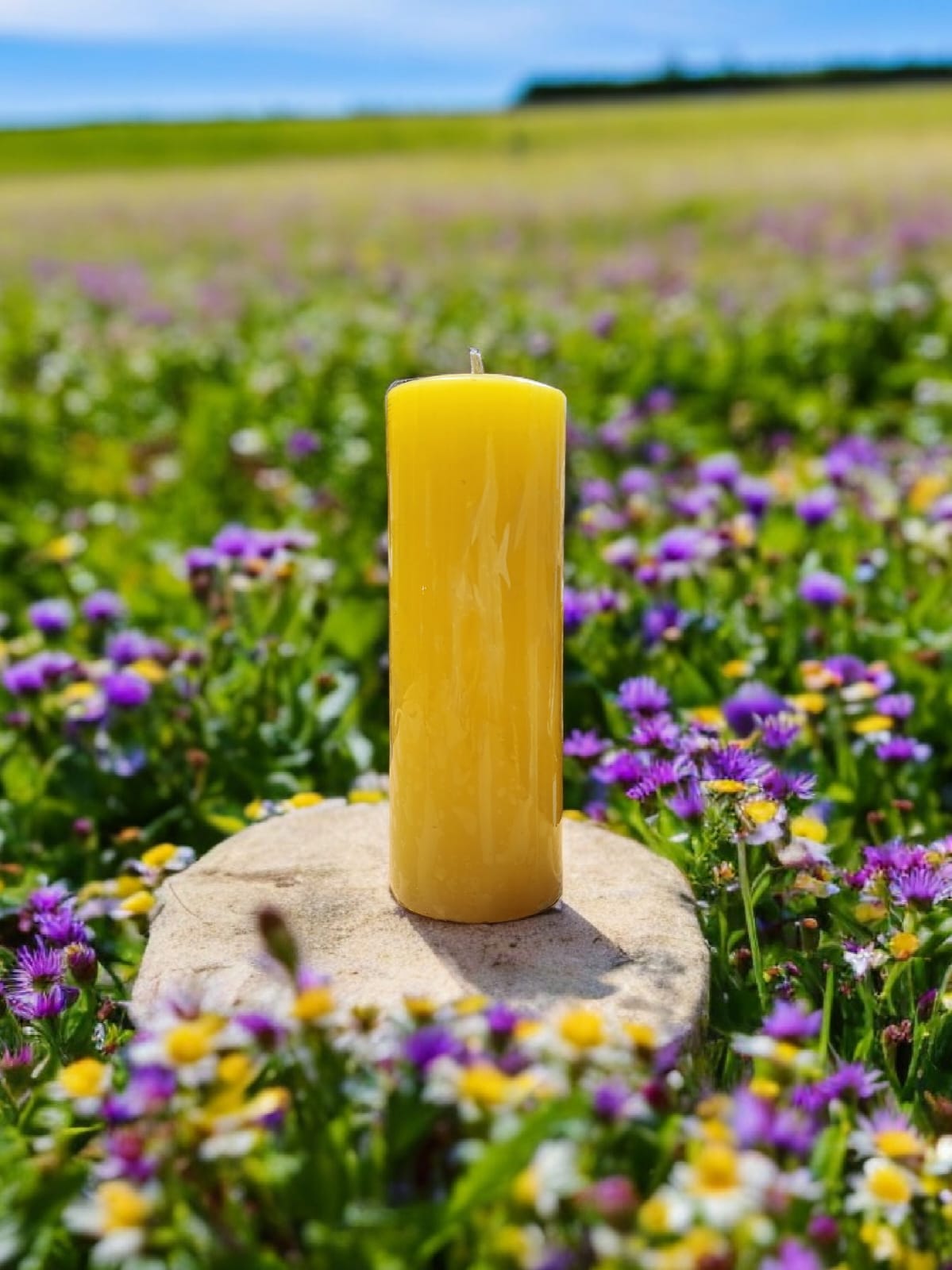 Cirio Amarillo 20x7