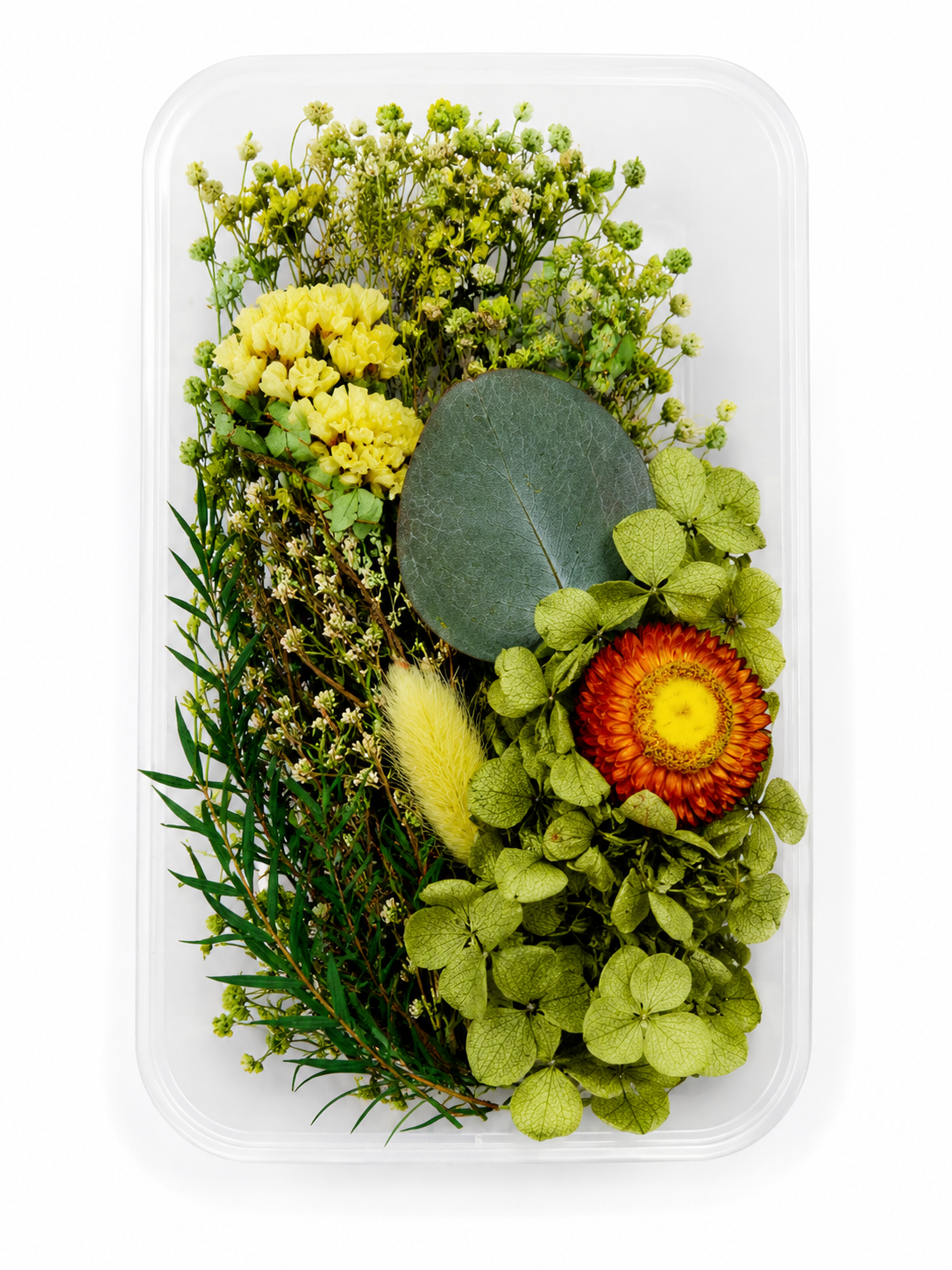 Flores Secas, para velas