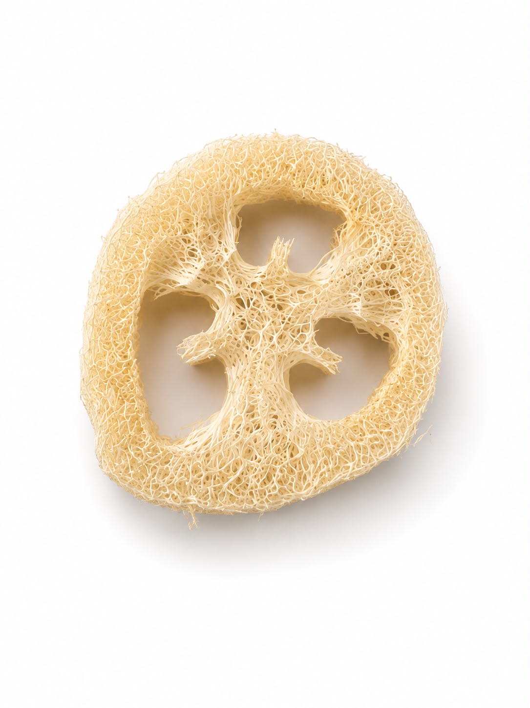 Luffa