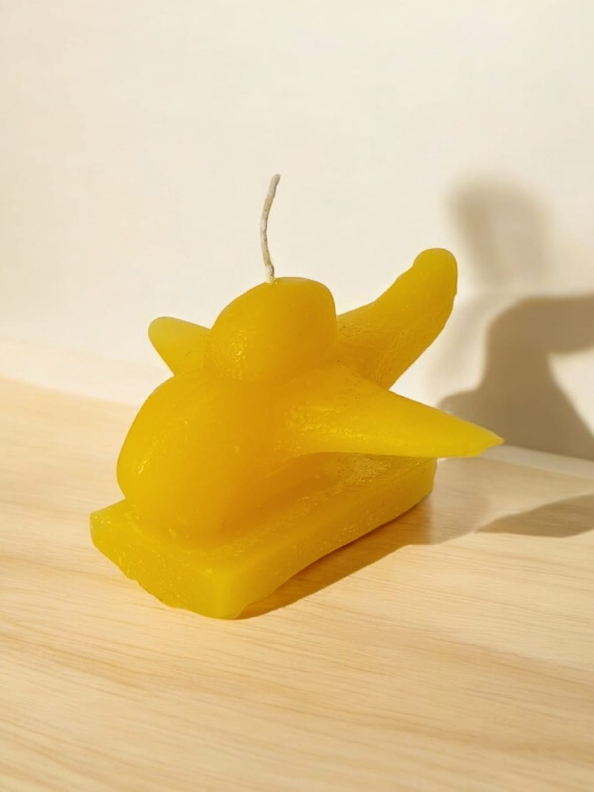 Figura Premium, Avion