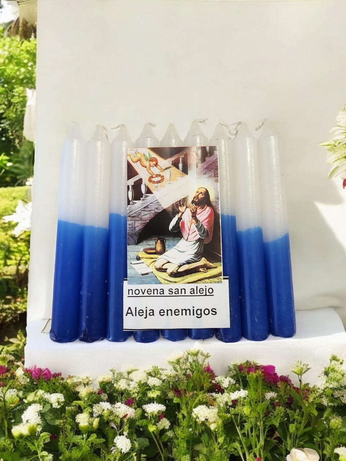 Novena San Alejo
