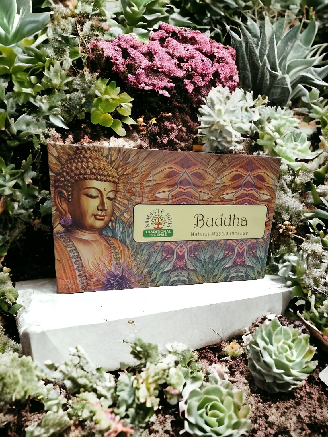 Namaste India, Buda