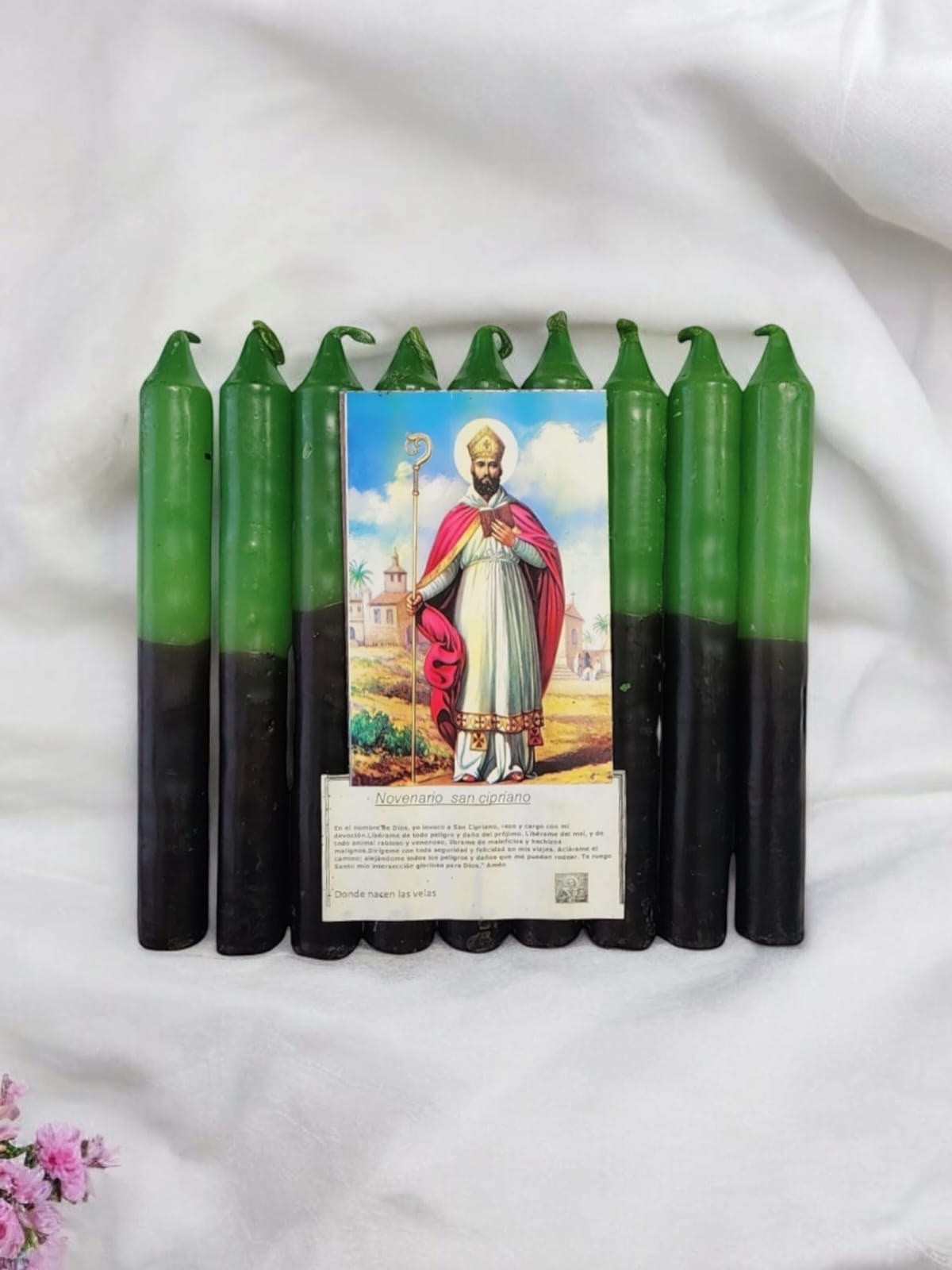 Novena San Cipriano