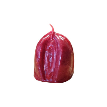 Vagina
