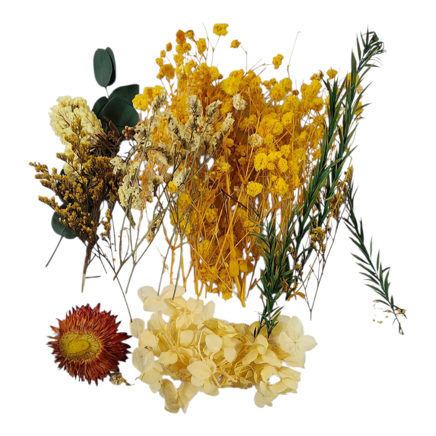 Flores Secas, para velas