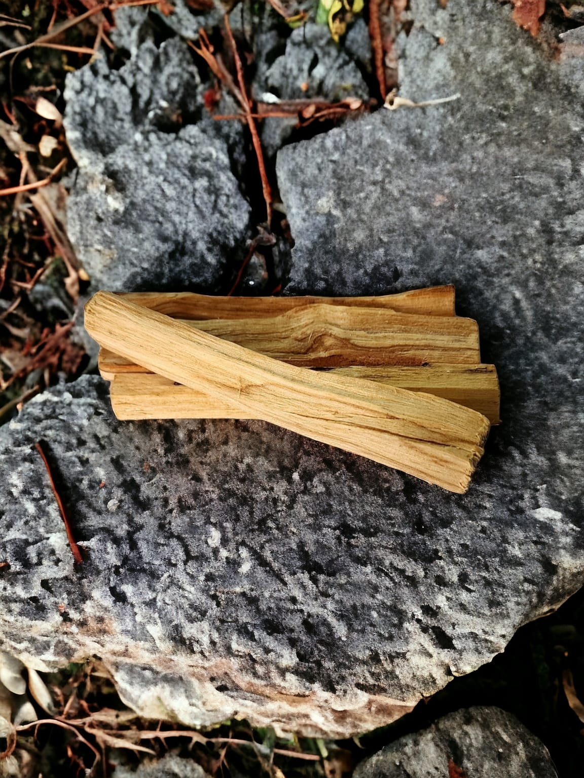 Palo Santo