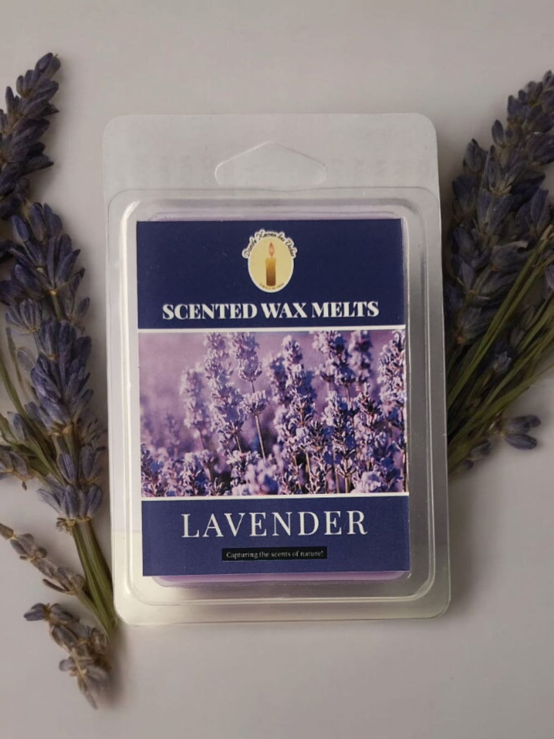 Wax Melt, Lavanda