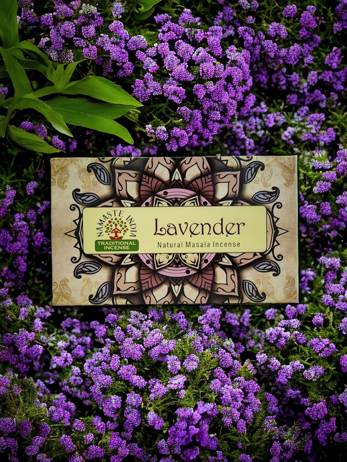 Namaste India, Lavanda