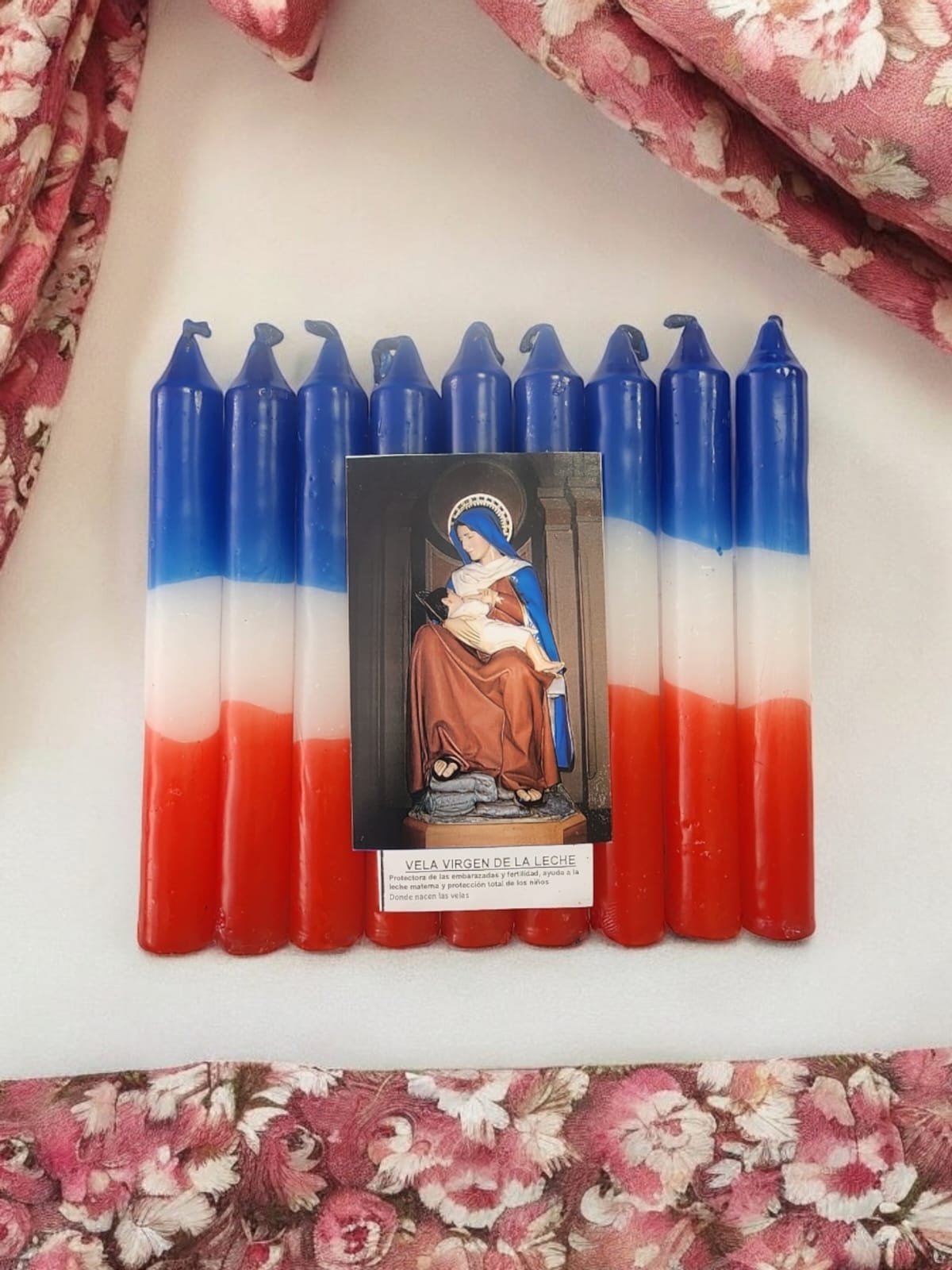 Novena Virgen de la Leche
