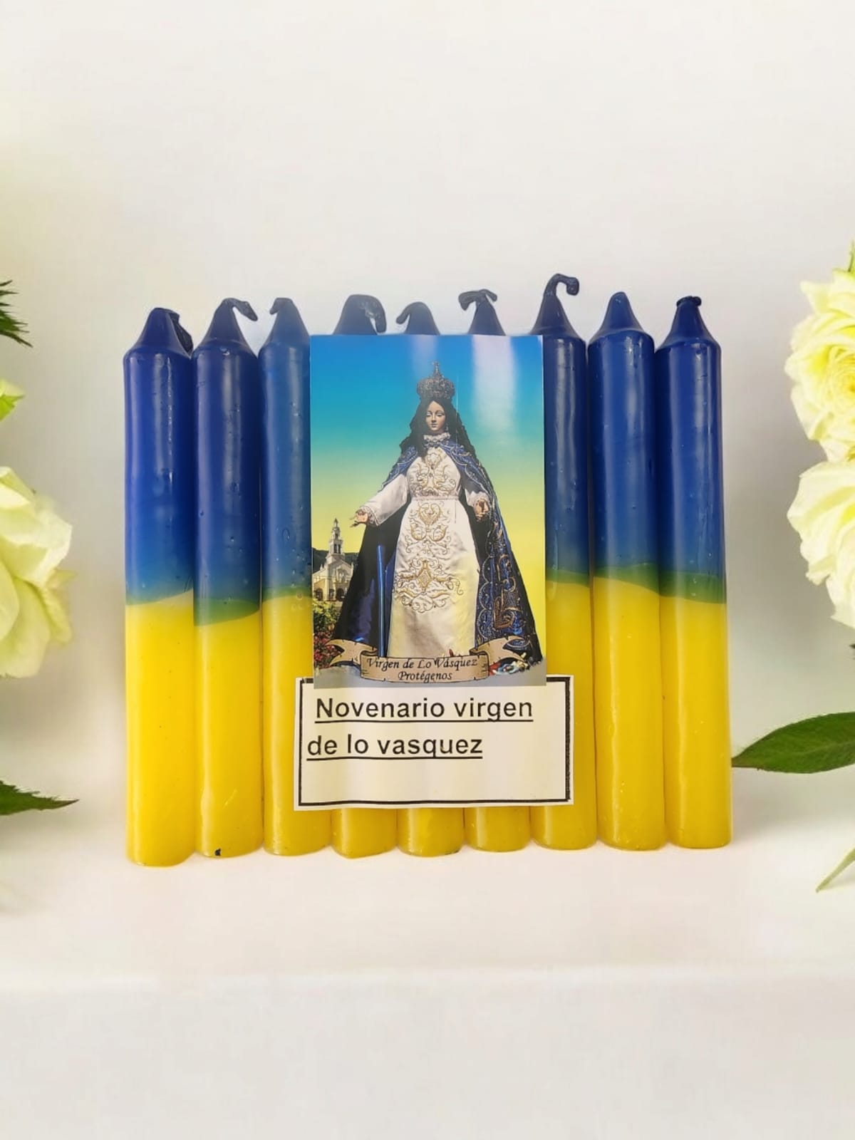 Novena Virgen de Lo Vasquez