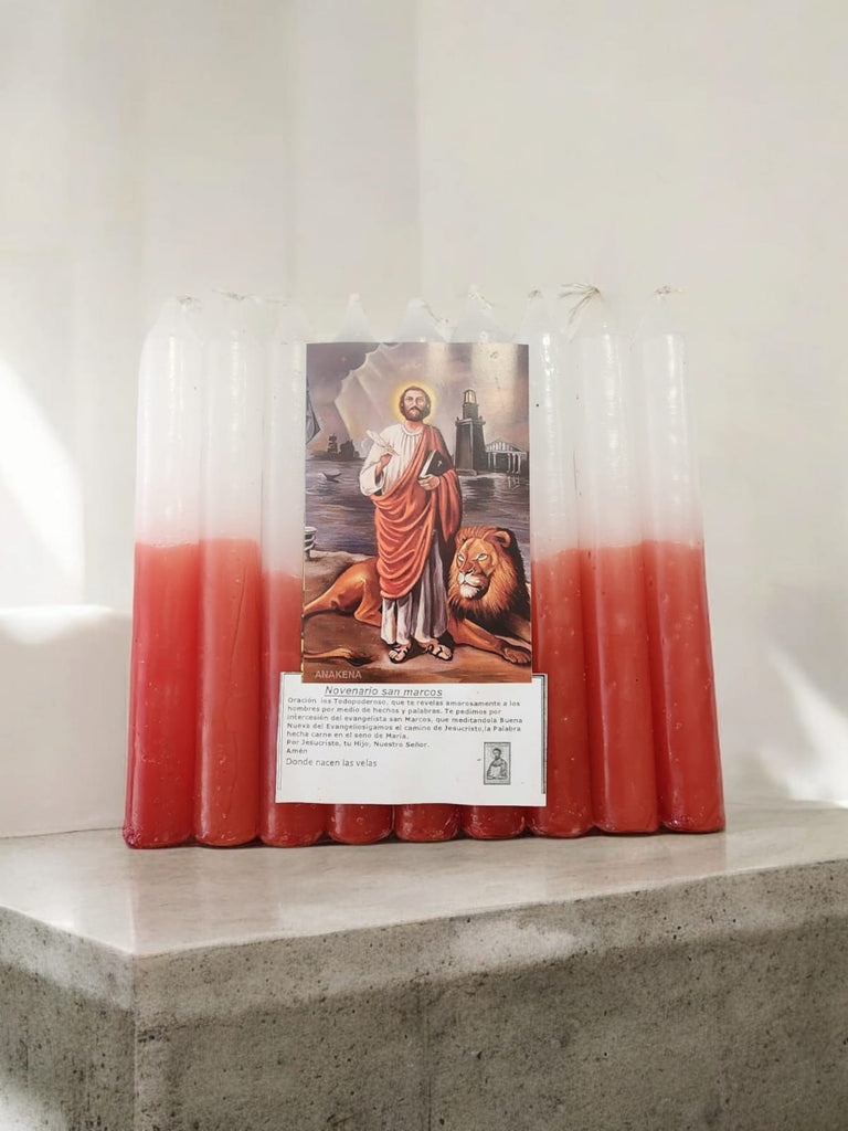 Novena San Marcos