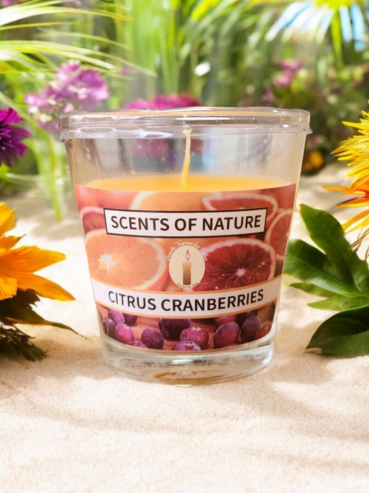 Vela Aromatica Vaso, Citrus Cranberries
