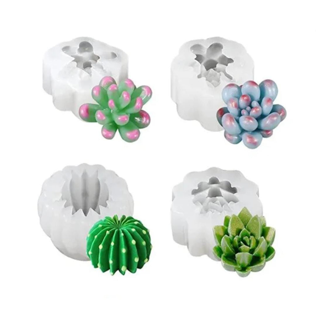 Pack de Moldes Cactus y Suculentas 4 unidades (MS68)