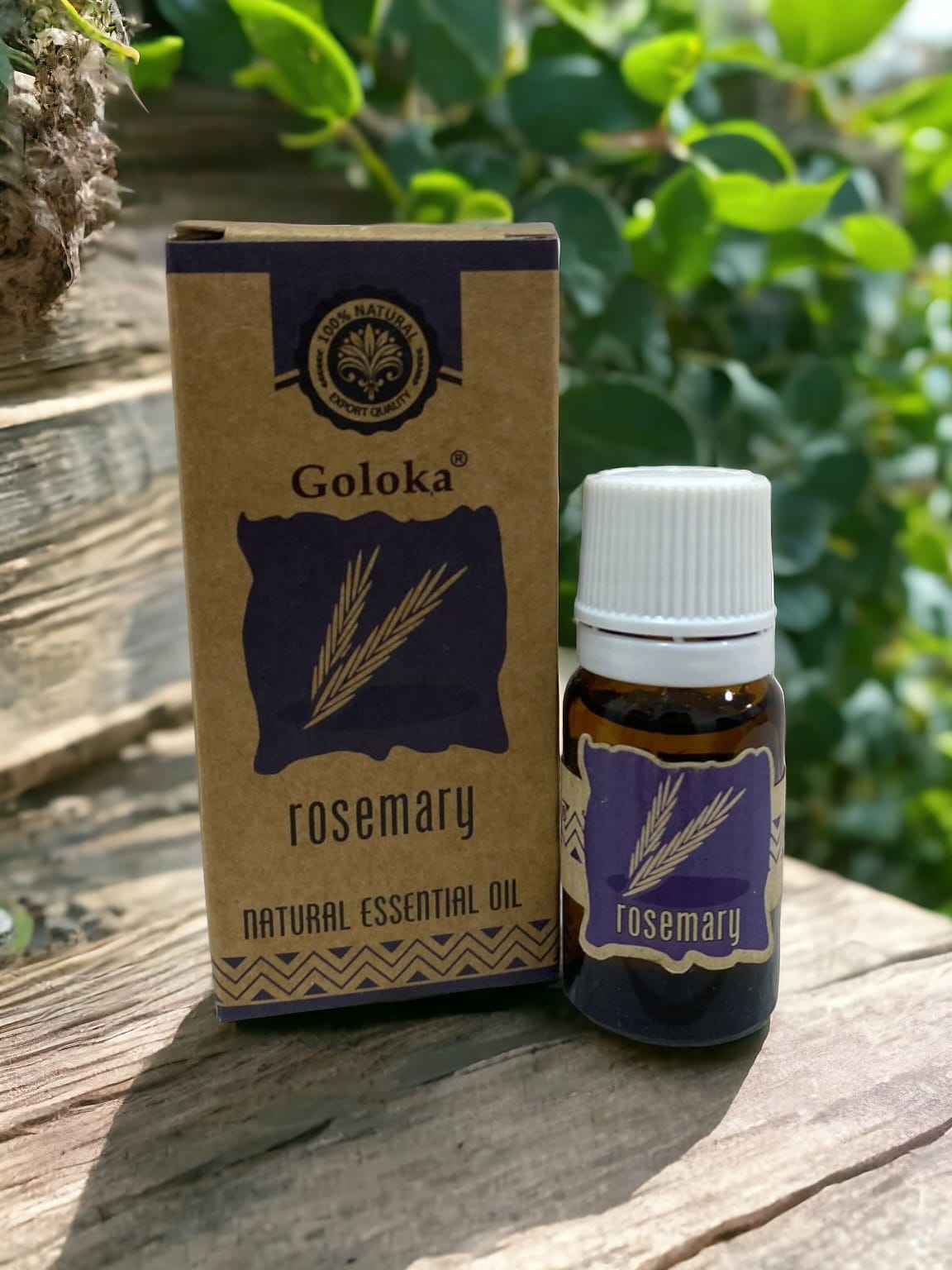 Aceite Esencial Goloka Masaje, Romero
