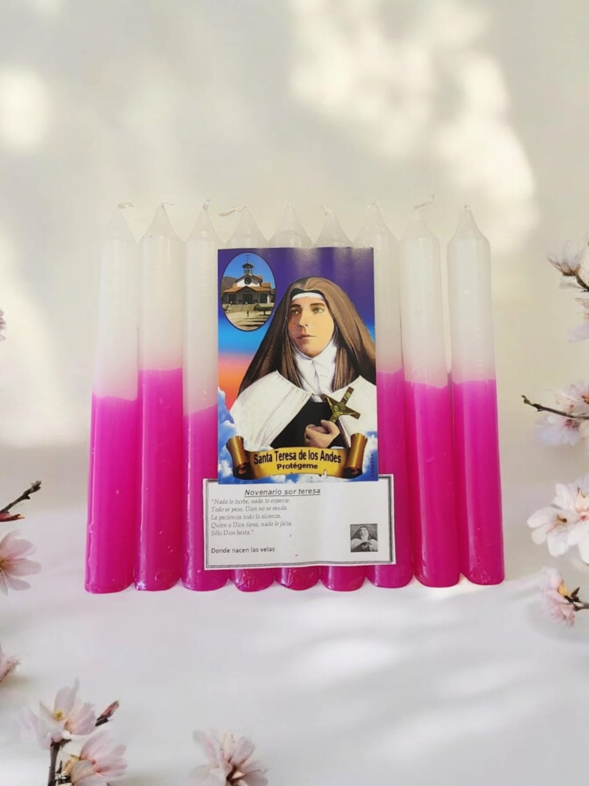 Novena Sor Teresa de los Andes