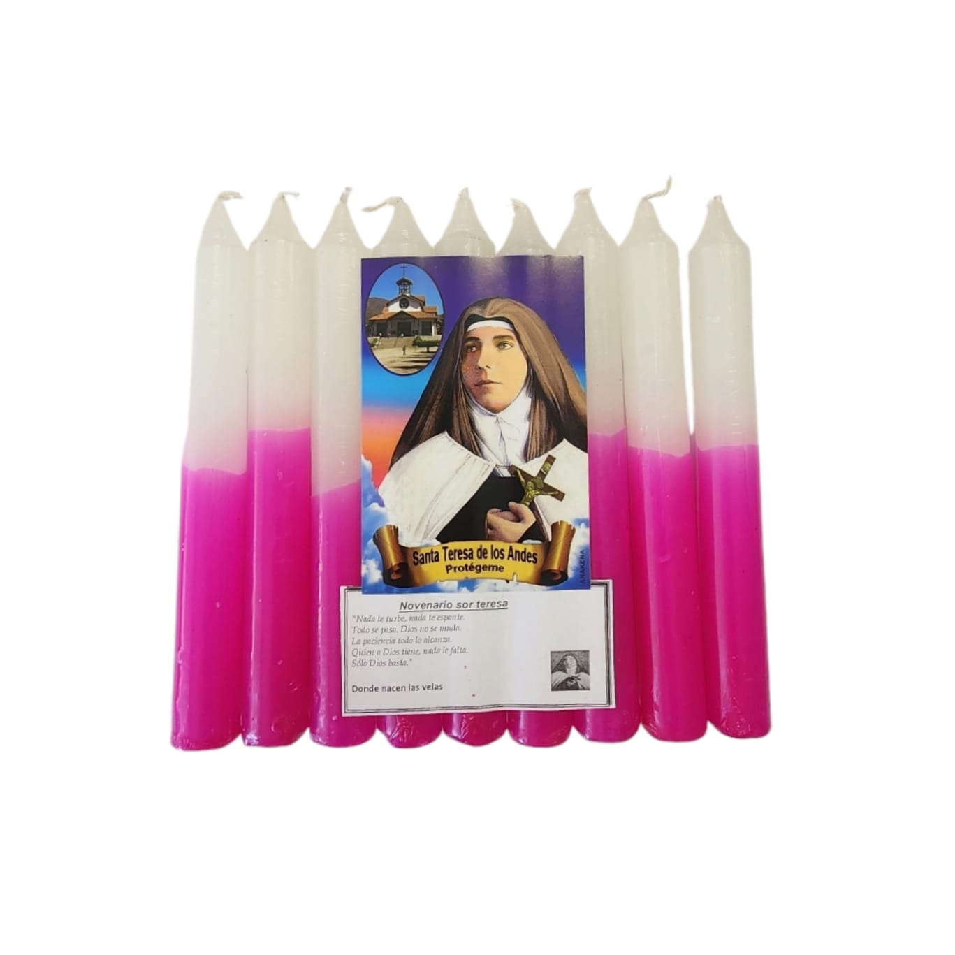 Novena Sor Teresa de los Andes