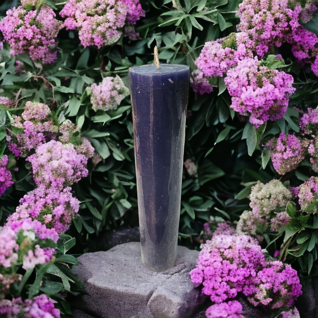 15cm Cirio/Velon Violeta