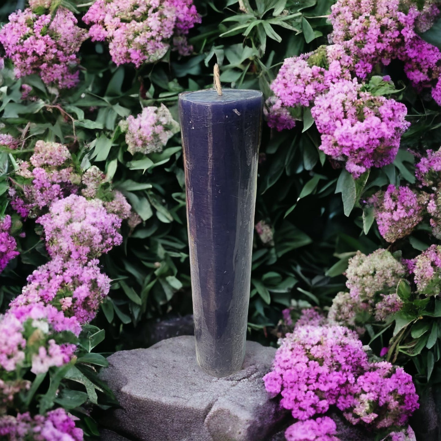 24 cm Cirio/Velon Violeta