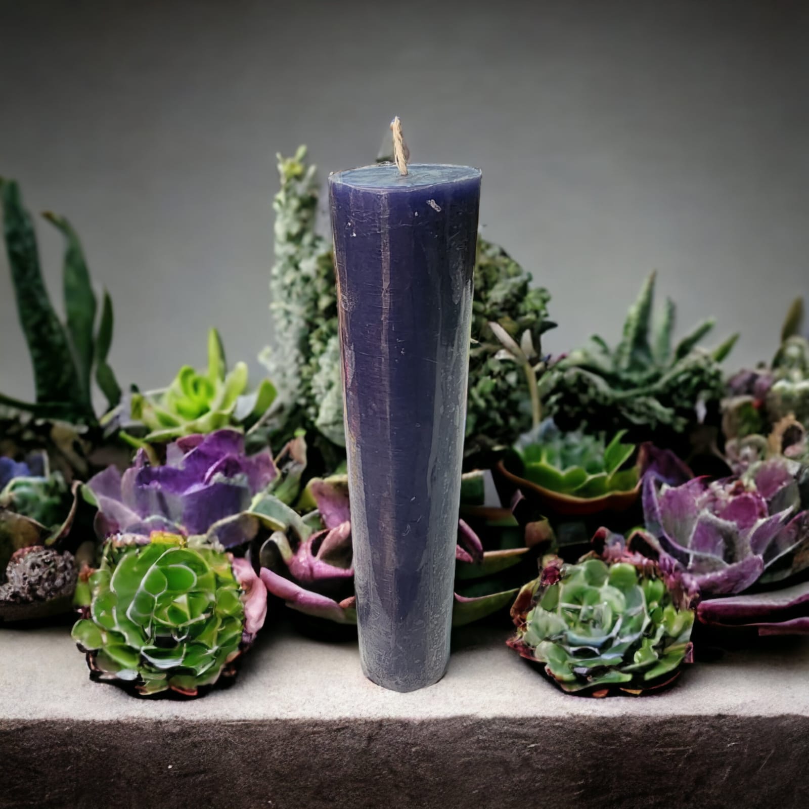 24 cm Cirio/Velon Violeta