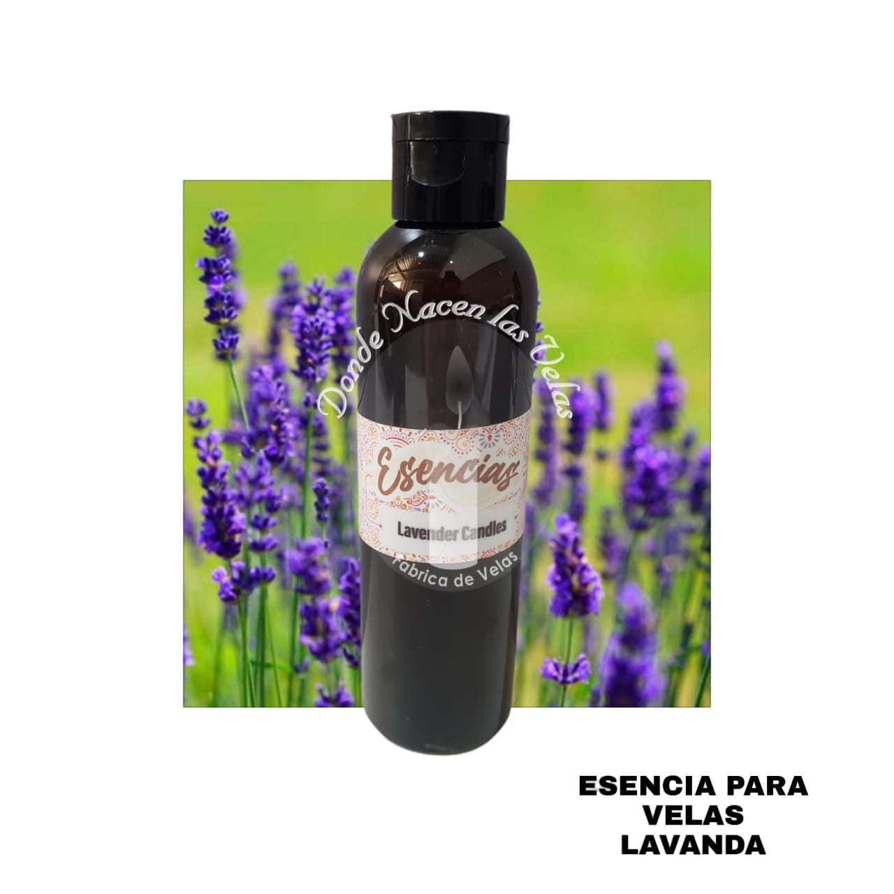 Esencia Lavanda Vela de Soya.